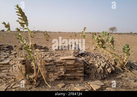 Vestiges archéologiques de Kumbi Saleh, la dernière capitale de l'ancien royaume du Ghana, région de Hodh ECH Chargui, Mauritanie Banque D'Images