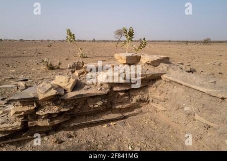 Vestiges archéologiques de Kumbi Saleh, la dernière capitale de l'ancien royaume du Ghana, région de Hodh ECH Chargui, Mauritanie Banque D'Images