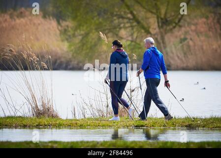 Homme et femme non identifiés marchant dans un parc naturel en utilisant des bâtons de randonnée Banque D'Images