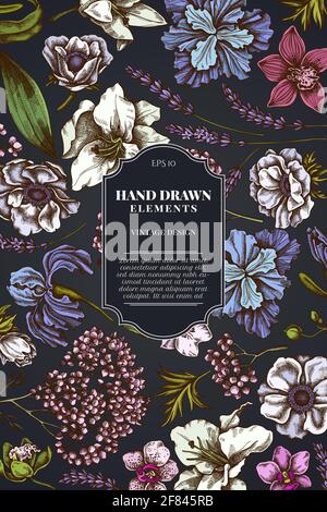 Motif carte sur fond sombre avec anémone, lavande, romarin éternel, phalaenopsis, lys, iris Illustration de Vecteur