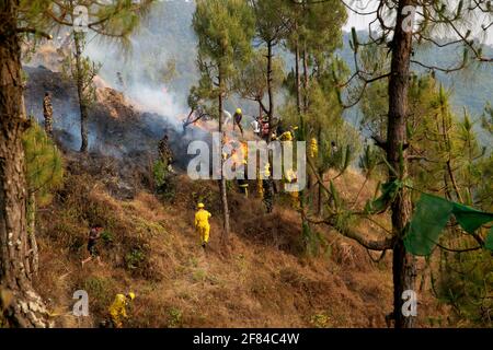 Katmandou, Népal. 11 avril 2021. Des membres de l'armée népalaise tentent de contrôler un incendie de forêt dans le parc national de Shivapuri. Les incendies de forêt ont fait rage dans de nombreuses régions du Népal, contribuant ainsi à la pire qualité de l'air dans la région de Katmandou en forme de bol. Crédit : Dipen Shrestha/ZUMA Wire/Alay Live News Banque D'Images