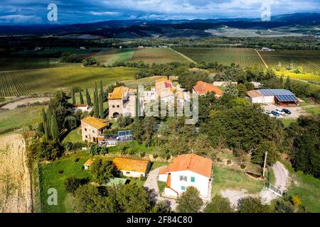 Vue aérienne, domaine de campagne avec oliviers, et cyprès, Cinigiano, province de Grosseto, Toscane, Italie Banque D'Images