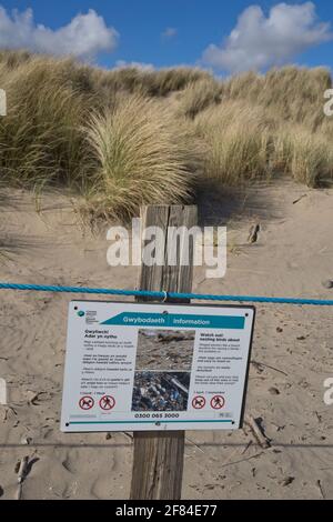 Bilingue gallois/Anglais signe d'avertissement de l'aire de conservation des oiseaux nicheurs par les dunes de sable, l'herbe et les galets près de la plage à Ynyslas, dans l'estuaire de Dyfi, n Banque D'Images