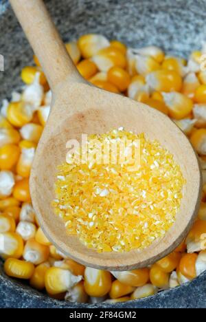 Polenta, semoule de maïs (Zea mays), farine, grains, cuillère en bois Banque D'Images