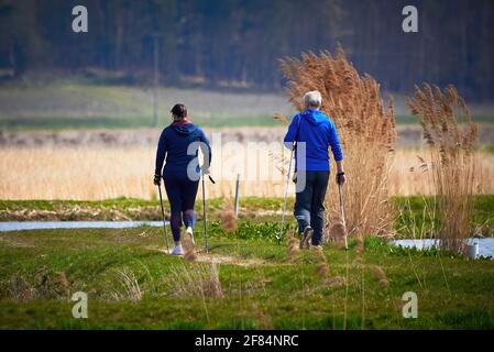 Homme et femme non identifiés marchant dans un parc naturel en utilisant des bâtons de randonnée Banque D'Images