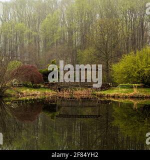 Une photo de format carré d'un petit pont en bois au-dessus d'un étang avec de grands arbres en arrière-plan sur une matinée brumeuse. Banque D'Images