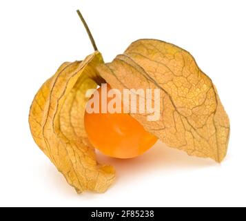 Le fruit de la groseille du Cap est isolé sur fond blanc Banque D'Images