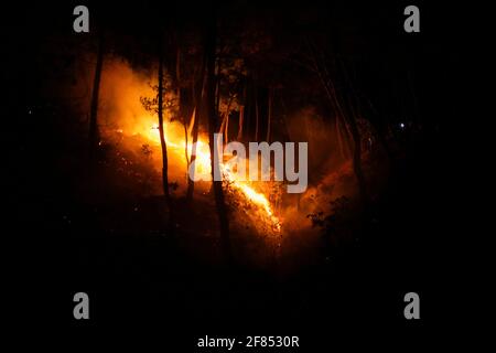 Katmandou, Népal. 11 avril 2021. Un feu de forêt frappe sur une forêt qui affecte la qualité de l'air de Katmandou à la ville la plus polluée du monde avec de la fumée épaisse qui engloutit la ville depuis quelques semaines à Katmandou, Népal, le dimanche 11 avril 2021. Crédit: Skanda Gautam/ZUMA Wire/Alay Live News Banque D'Images