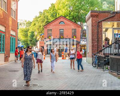 Les gens - femmes, hommes, étudiants - dans la rue de Harvard Square, Cambridge, ma. Banque D'Images