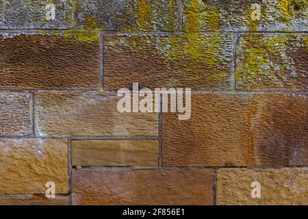 Vieux mur de grès brun rouge avec lichen et mousse colorés pour l'arrière-plan Banque D'Images