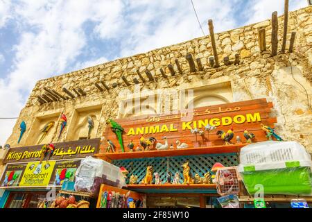 Doha, Qatar - 19 février 2019 : animalerie du royaume des animaux le long de la route piétonne à l'intérieur de Bird Souq, le marché des animaux et l'attraction touristique populaire dans Banque D'Images