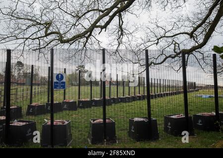 Great Missenden, Royaume-Uni. 9 avril 2021. Une zone clôturée sur Leather Lane où plusieurs chênes centenaires ont été abattus pour permettre la construction d'une route d'accès temporaire et d'un composé pour la liaison ferroviaire à grande vitesse HS2. Suite à la pression des résidents locaux (plus de 40,000 personnes ont signé une pétition pour sauver les arbres), du Conseil de Buckinghamshire et du Chilterns conservation Board, il semble que les plans de HS2 ont été modifiés de manière à préserver certains des arbres le long de la voie de campagne ancienne riche en faune. Crédit : Mark Kerrison/Alamy Live News Banque D'Images