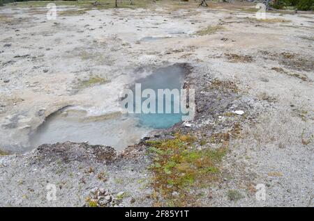 Fin du printemps dans le parc national de Yellowstone : complexe du globe argenté du groupe Sapphire dans la zone du bassin Biscuit du bassin supérieur Geyser Banque D'Images