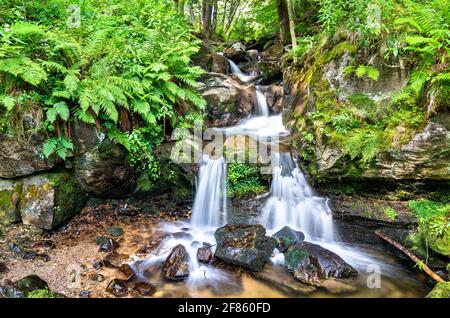 Chute d'eau de Todtnau dans les montagnes de la Forêt-Noire, Allemagne Banque D'Images