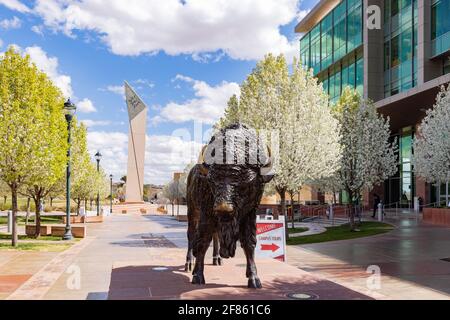 Utah, 15 MARS 2021 - immeuble moderne de l'université d'État de Dixie Banque D'Images
