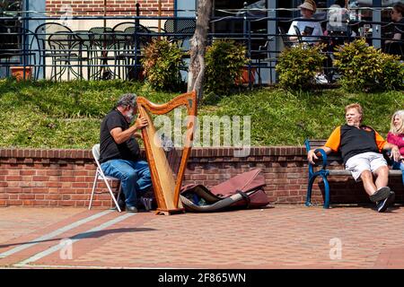 Frederick, MD, USA 04-07-2021: Un busseur caucasien âgé joue de la harpe dans la rue du parc Carroll Creek au centre-ville de Frederick sur une da de printemps ensoleillée Banque D'Images