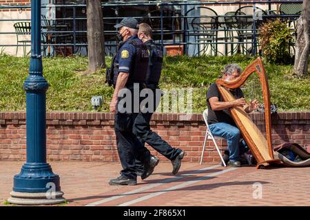 Frederick, MD, USA 04-07-2021: Un busseur caucasien âgé joue de la harpe dans la rue du parc Carroll Creek au centre-ville de Frederick sur une da de printemps ensoleillée Banque D'Images