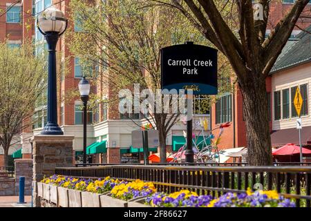 Frederick, MD, États-Unis 04-07-2021: Vue sur le populaire parc de la ville de Carroll Creek dans l'historique Frederick. Entouré de bâtiments en briques et de boutiques, c'est un lieu de pop Banque D'Images