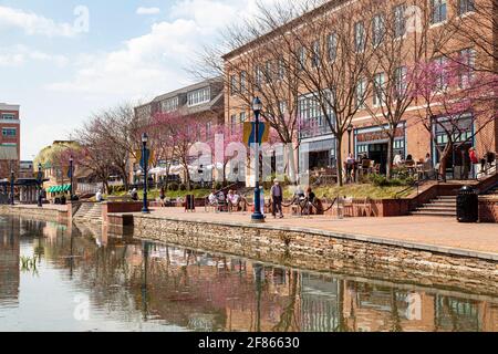 Frederick, MD, États-Unis 04-07-2021: Jour, vue du printemps du parc populaire de la ville appelé Carroll Creek Park dans le quartier historique de Frederick avec des magasins et Banque D'Images