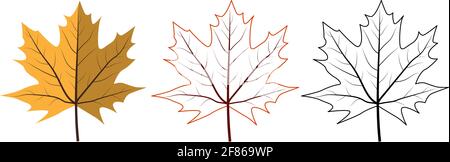 Ensemble de feuilles d'érable différentes. Inclut des feuilles colorées, de contour et de contour noir. Illustration de Vecteur