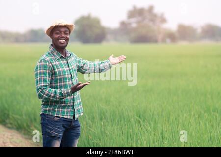 Agriculteur africain debout dans le champ de riz biologique avec le sourire et Happy.Agriculture ou concept de culture Banque D'Images