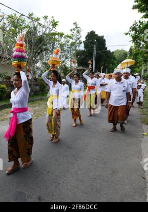 Procession de femmes habillées traditionnellement portant des offrandes de temple / gebogans sur leur tête près d'Ubud, Bali, Indonésie. Banque D'Images