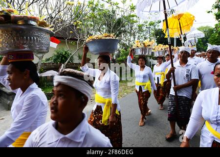 Procession de femmes habillées traditionnellement portant des offrandes de temple / gebogans sur leur tête près d'Ubud, Bali, Indonésie. Banque D'Images