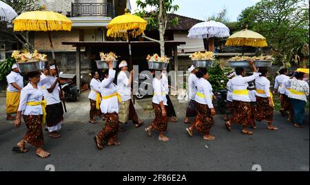 Procession de femmes habillées traditionnellement portant des offrandes de temple / gebogans sur leur tête près d'Ubud, Bali, Indonésie. Banque D'Images