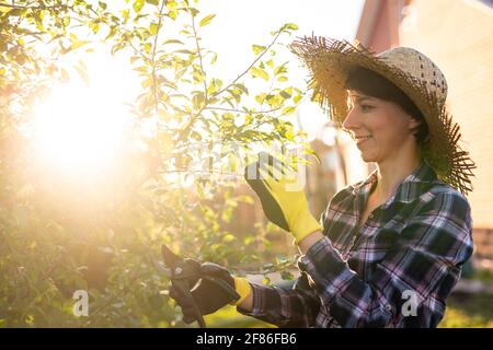 Vue latérale de la jeune femme caucasienne joyeuse coupe inutile branches et feuilles d'un arbre avec sécateur pendant traitement d'un pommier Banque D'Images