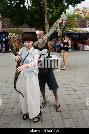 Un touriste japonais enveloppé d'un grand serpent python à Bali, en Indonésie. Banque D'Images