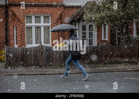 Wimbledon, Angleterre. 12 avril 2021 : un Commuter traverse un blizzard de neige le long des rues de South Wimbledon le premier jour, les restrictions du coronavirus sont levées en Angleterre pour permettre aux gens de se couper les cheveux et de manger et boire à l'extérieur des pubs et des restaurants. Crédit : Jeff Gilbert/Alamy Live News Banque D'Images