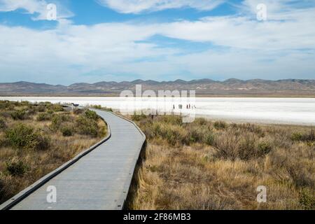 Soda Lake, Californie, États-Unis - 11 avril 2021, promenade du lac Soda, monument national de Carrizo Plain, comté de San Luis Obispo, Californie. Banque D'Images