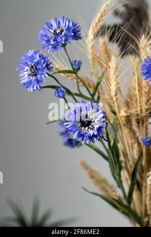 Composition minimaliste de fleurs séchées dans un vase comme décoration d'intérieur. Fleur de maïs bleue sur fond d'épis de blé mûrs. Une vie pédagogique pour le dessin. Banque D'Images