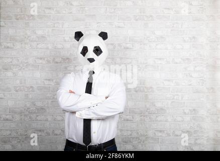 Portrait d'un homme avec masque d'ours panda Banque D'Images