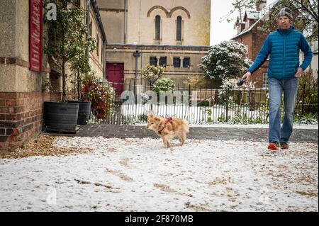 Oxford, Oxfordshire, Royaume-Uni. 12 avril 2021. Neige à Oxford. Le pays s'est réveillé à la neige dispersée, une surprise pour le temps d'avril. Stephen Charters prend son chien Roxie pour une promenade. Ils vérifient l'Old Booklicher Pub sur Canal St. pour voir si le service extérieur va redémarrer aujourd'hui alors que le pays émerge une étape de plus hors du verrouillage. Credit: Sidney Bruere/Alay Live News Banque D'Images