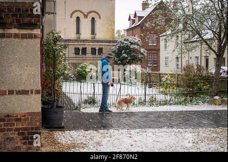 Oxford, Oxfordshire, Royaume-Uni. 12 avril 2021. Neige à Oxford. Le pays s'est réveillé à la neige dispersée, une surprise pour le temps d'avril. Stephen Charters prend son chien Roxie pour une promenade. Ils vérifient l'Old Booklicher Pub sur Canal St. pour voir si le service extérieur va redémarrer aujourd'hui alors que le pays émerge une étape de plus hors du verrouillage. Credit: Sidney Bruere/Alay Live News Banque D'Images