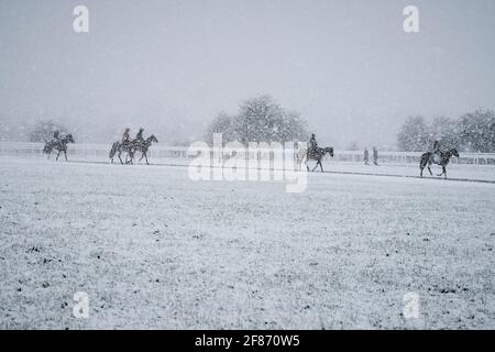 Epsom Downs, Royaume-Uni. 12 avril 2021. Des chevaux de course s'exerçant dans la neige qui est tombée au-dessus des collines de Surrey ce matin. Crédit : Edward Webb/Alay Live News Banque D'Images