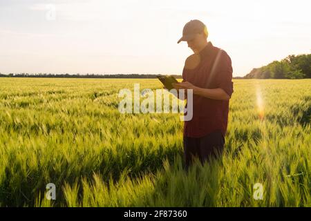 Agriculteur avec tablette numérique sur un champ de seigle. L'agriculture intelligente et la transformation numérique dans l'agriculture. Banque D'Images