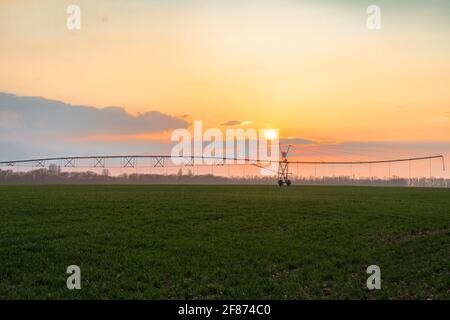 Système d'irrigation en fonctionnement pendant un coucher de soleil d'été doré Banque D'Images