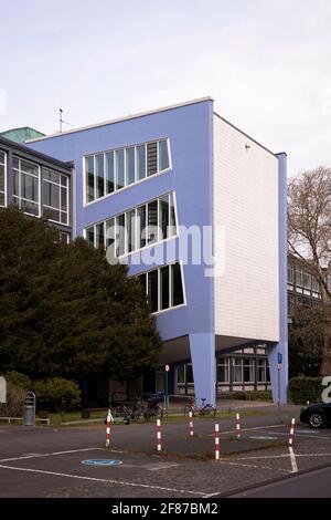 Bâtiment IBW (Institut de formation professionnelle et professionnelle) de l'Université de Cologne sur la rue Herbert-Lewin dans le quartier Lindenthal, Cologn Banque D'Images