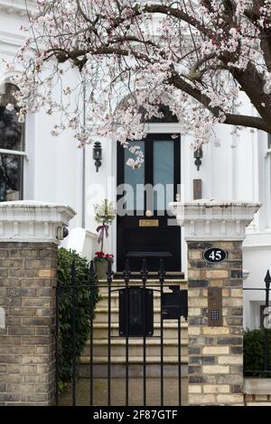 Kensington, Londres, Angleterre, Royaume-Uni - Mars 05 2021: Arbre en fleurs au 45 Argyll Rd (W8 7DA) - usage éditorial seulement Banque D'Images