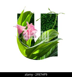 illustration de l'alphabet floral, lettre u. ensemble de lettres avec bouquet botanique. invitations de mariage, cartes de voeux, anniversaire, logo, affiche autres idées Banque D'Images