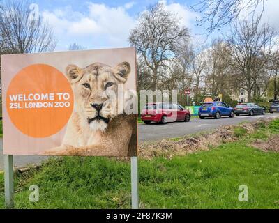 Londres, Royaume-Uni. 12 avril 2021. Des voitures font la queue au zoo de Londres ZSL hors du parking et sur l'extérieur du cercle de Regent's Park le jour de l'ouverture, suivant les restrictions de la cv19. Le zoo est fermé au public depuis le 4 janvier 2021. Credit: Bradley Taylor / Alamy Live News Banque D'Images
