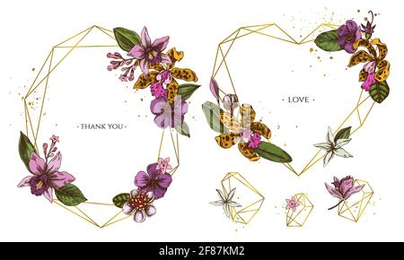 Cadre doré avec laelia, fleurs de féijoa, buisson de gloire, papilio torquatus, cinchona, cattleya aclandiae Illustration de Vecteur