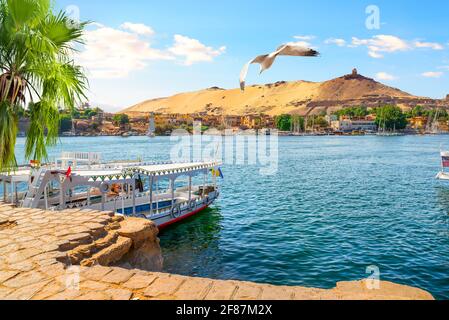 Bateaux touristiques amarrés sur le Nil à Assouan Banque D'Images