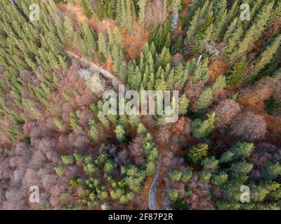 Vue aérienne de la montagne de Pirin dans la région de Popina Laka près de la ville de Sandanski, Bulgarie Banque D'Images