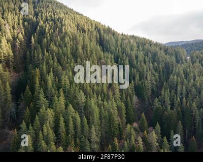 Vue aérienne de la montagne de Pirin dans la région de Popina Laka près de la ville de Sandanski, Bulgarie Banque D'Images