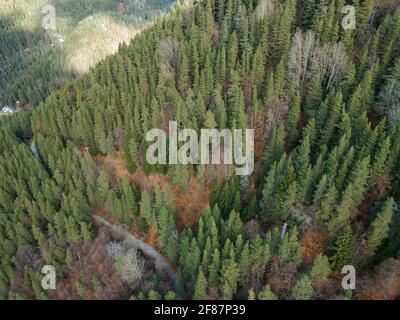 Vue aérienne de la montagne de Pirin dans la région de Popina Laka près de la ville de Sandanski, Bulgarie Banque D'Images