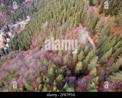 Vue aérienne de la montagne de Pirin dans la région de Popina Laka près de la ville de Sandanski, Bulgarie Banque D'Images