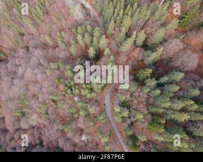 Vue aérienne de la montagne de Pirin dans la région de Popina Laka près de la ville de Sandanski, Bulgarie Banque D'Images